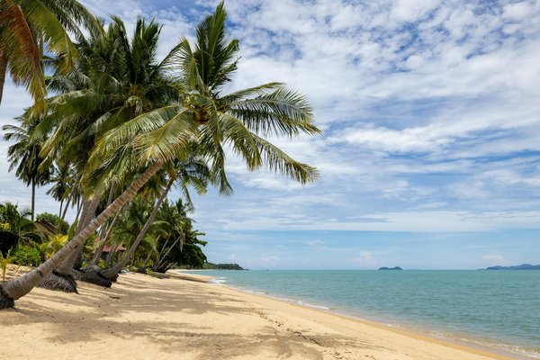 Découvrez les Régions Françaises Incontournables pour Louer une Yourte : Votre Guide Complet et Inspirant