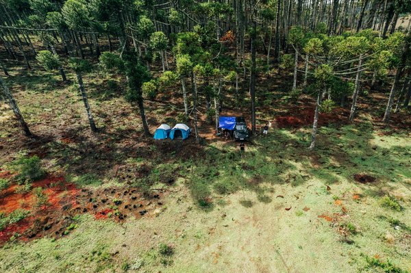 Les Incontournables Vins à Découvrir pour le Voyageur Épicurien