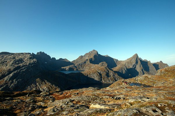 Décryptage de l'Impact Économique du Festival d'Avignon : Un Catalyseur de Transformation Locale